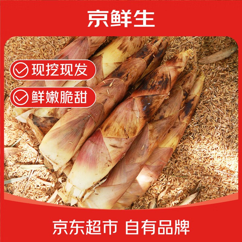 自营京鲜生 春笋合集①临安天目春笋 中笋5斤