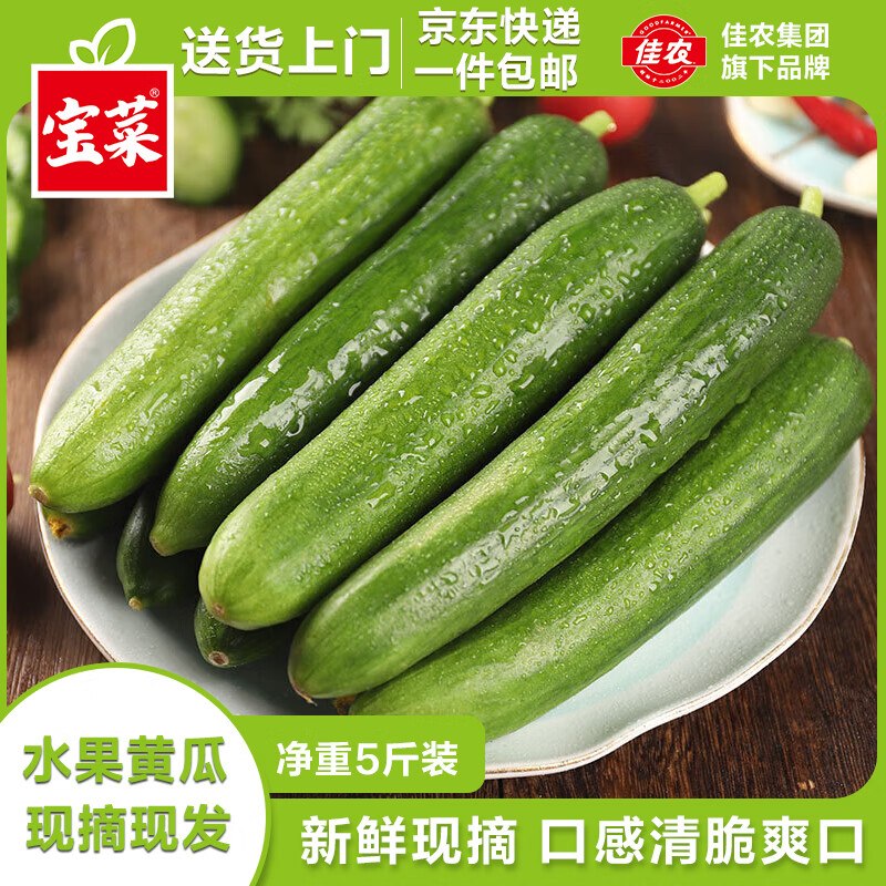 自营佳农宝菜 山东荷兰水果黄瓜 净重5斤