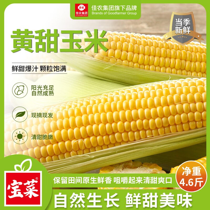 【自营】佳农宝菜 山东水果玉米净重4.6斤；单根300g+