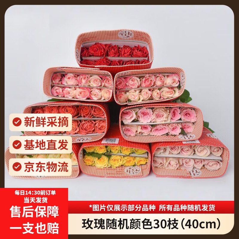 200-20黑五卷