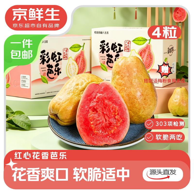 领广东黄埔95折消费卷mp://ByjV4ZpJHyiTxca【自营】京鲜生 广东红心芭乐4个装 单果130g+