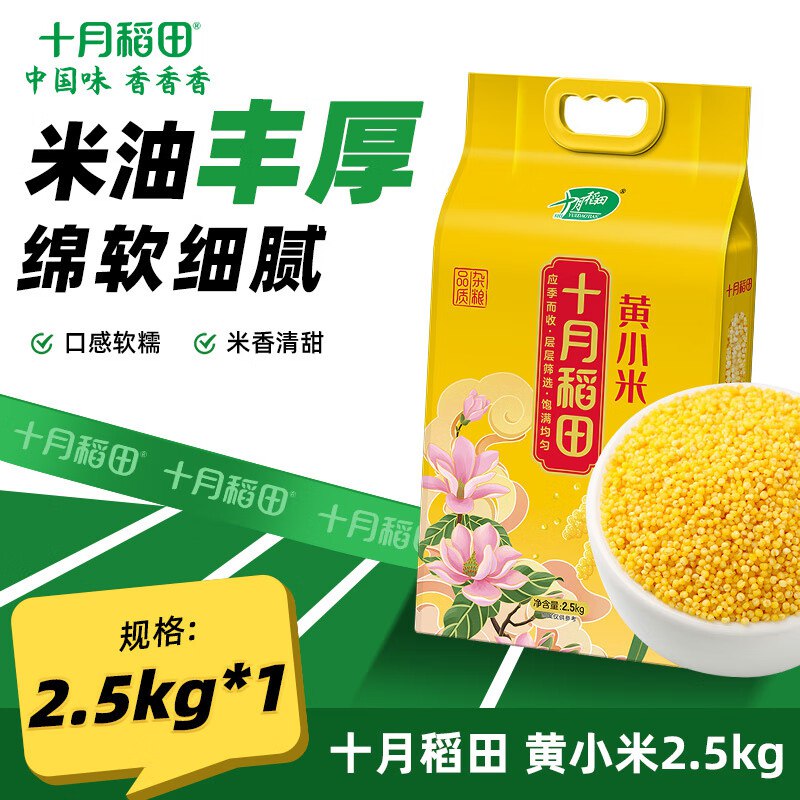 先领11-10卷
