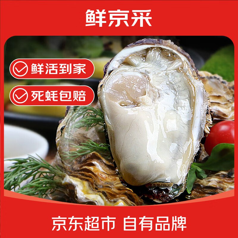 自营鲜京采 鲜活生蚝3XL 净重5斤
