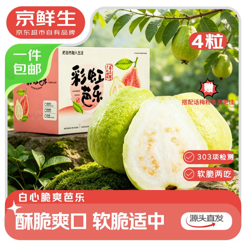 自营京鲜生 广东奶油芭乐 4个拍下【9.9元包邮】单果150g+