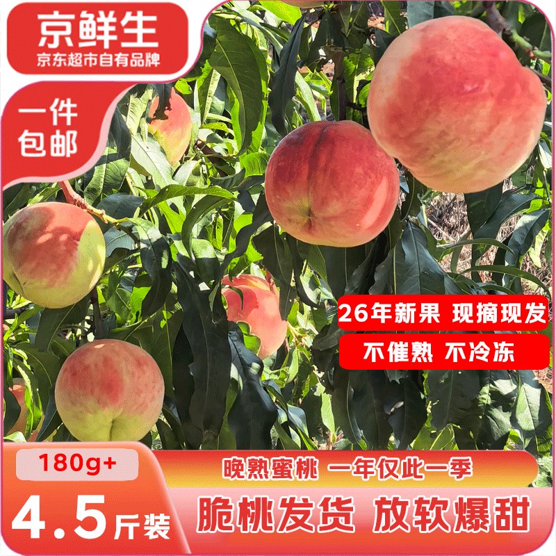 【自营】京鲜生 山东莱阳秋桃净重4.5斤 单果180g+