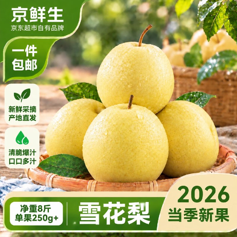 自营京鲜生 河北卢龙雪花梨19.9元得净重8斤 单果250g+