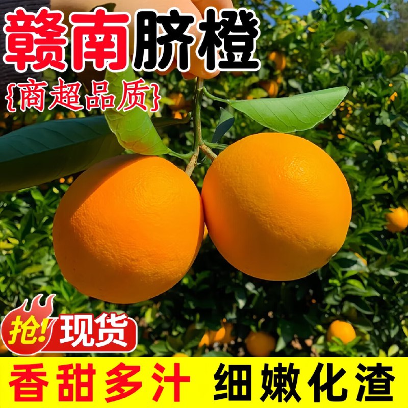 橙之味 江西赣南脐橙 净重9斤